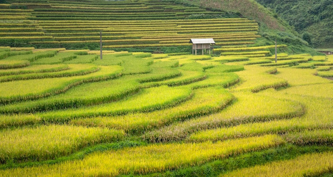 فروش لوله تاشو در اهواز و خوزستان