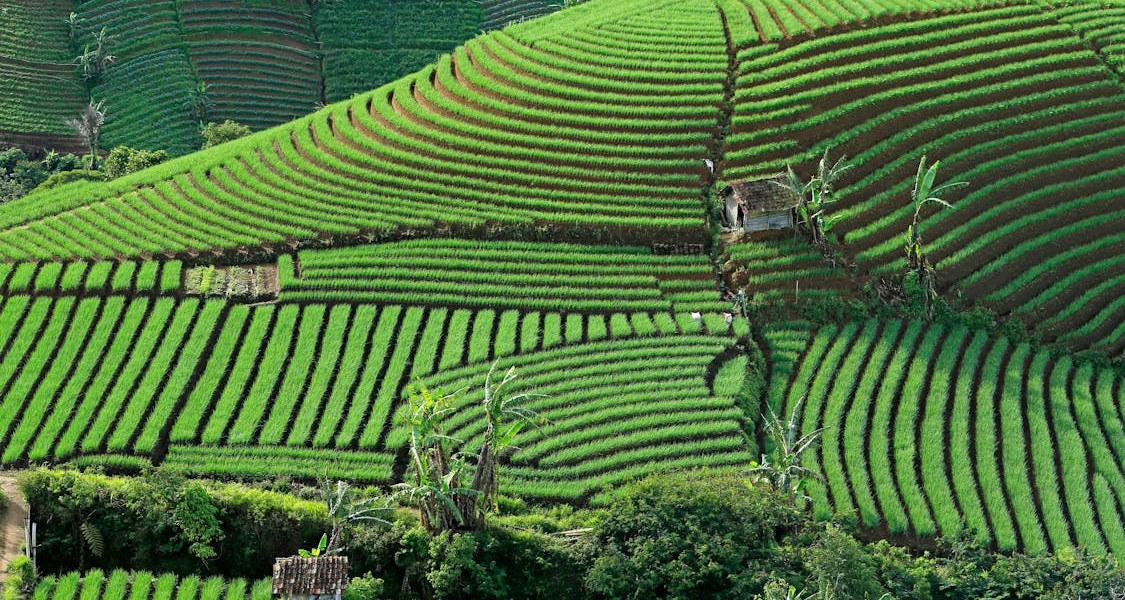 فروش لوله تاشو در شهرکرد