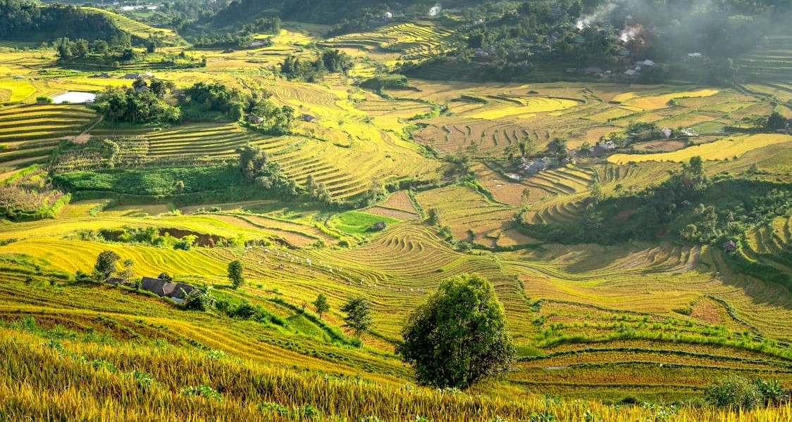 فروش لوله تاشو در بندرعباس و هرمزگان