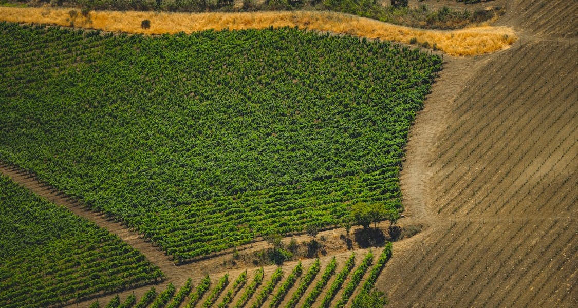 فروش لوله تاشو در ایلام