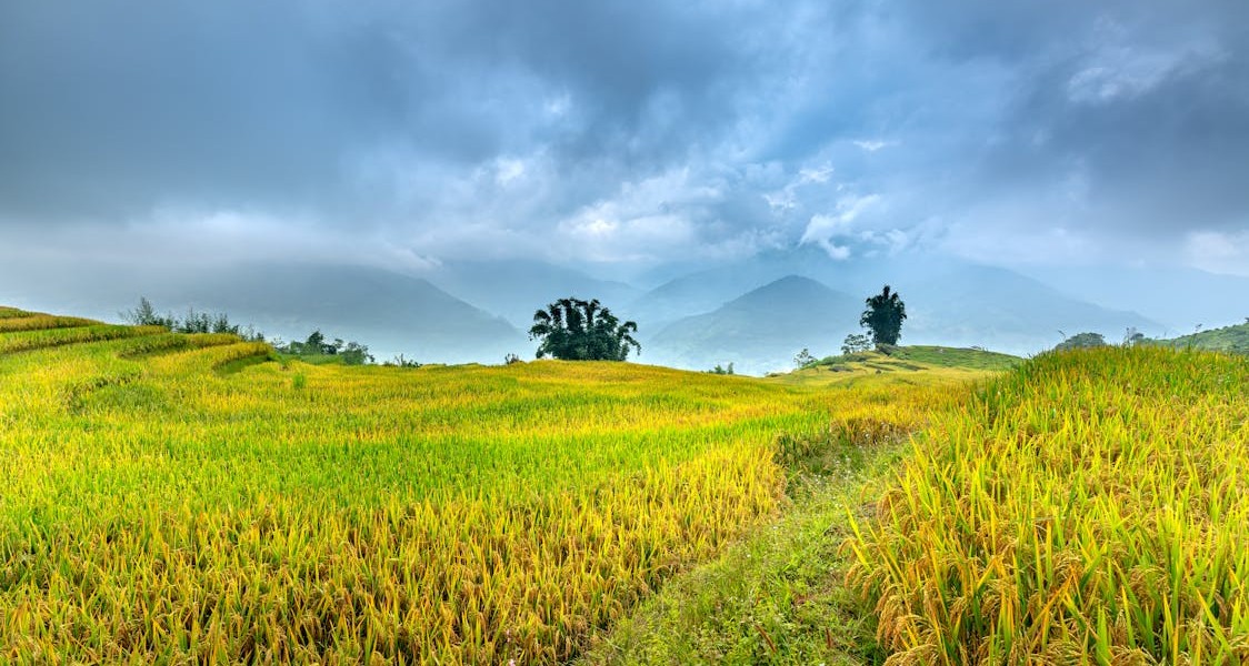 فروش لوله تاشو در لار