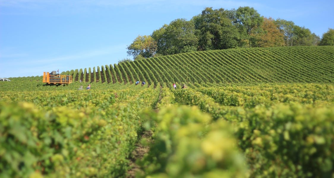 فروش لوله تاشو در پارس آباد مغان