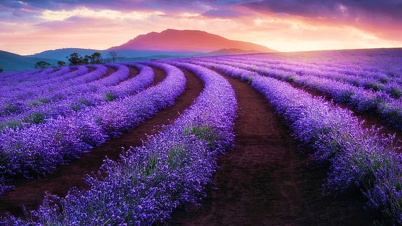 فروش اتصالات الکتروفیوژن در اصفهان