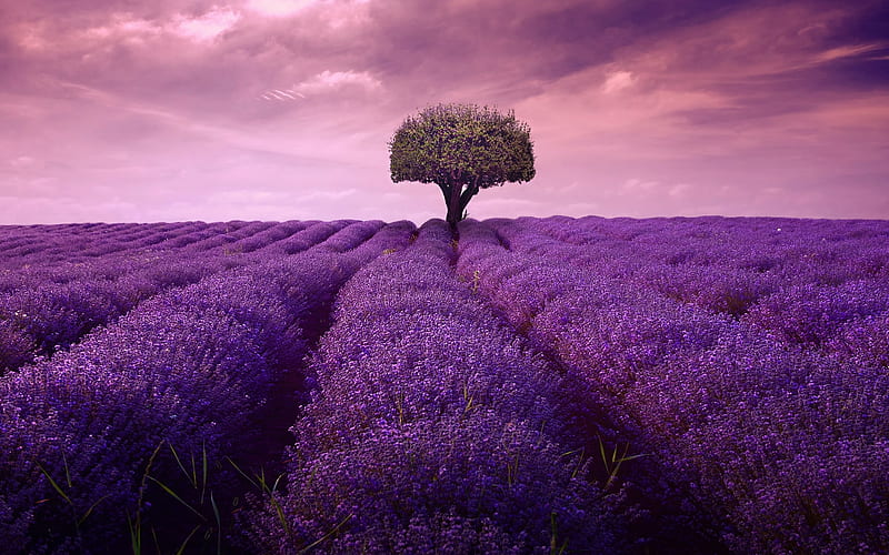 فروش اتصالات الکتروفیوژن در سنندج و کردستان