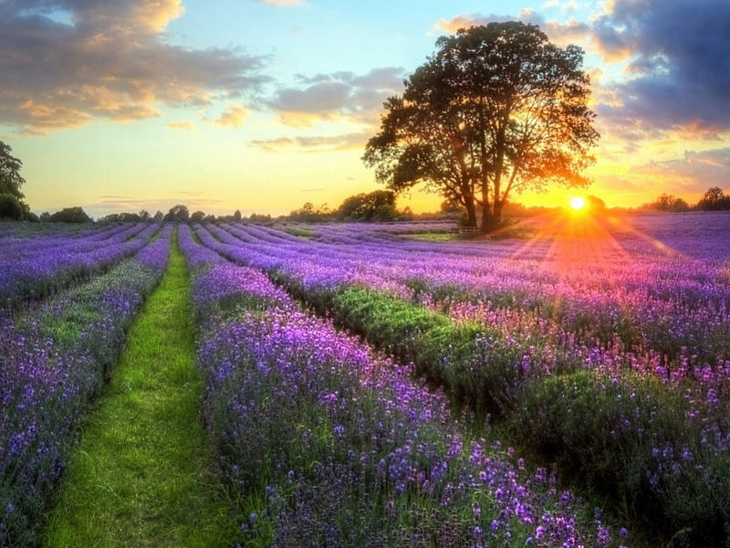 فروش اتصالات الکتروفیوژن در تهران