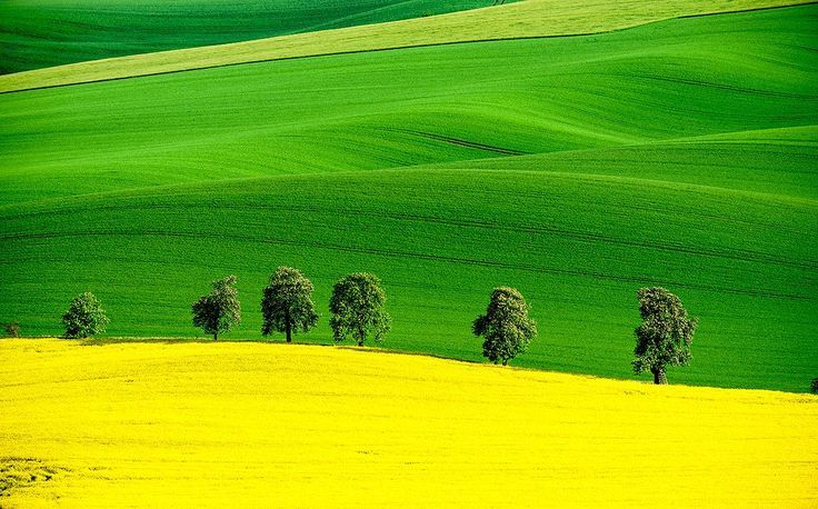 فروش نایلون کشاورزی در همدان