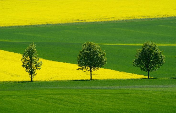 فروش نایلون کشاورزی در یاسوج