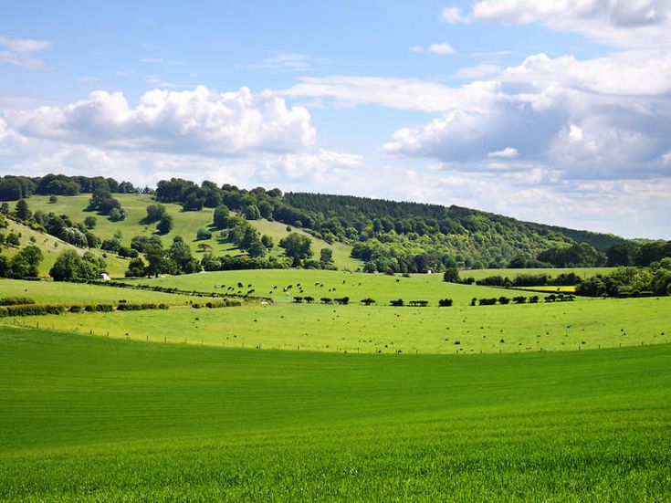فروش نایلون کشاورزی در کازرون