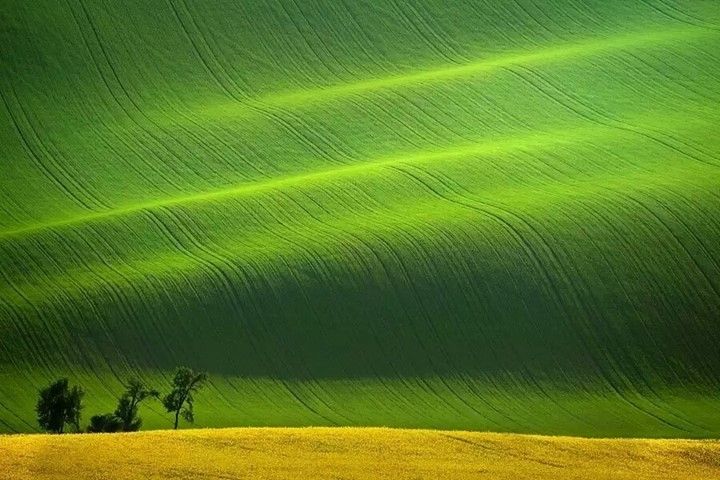 فروش نایلون کشاورزی در بندرعباس و هرمزگان