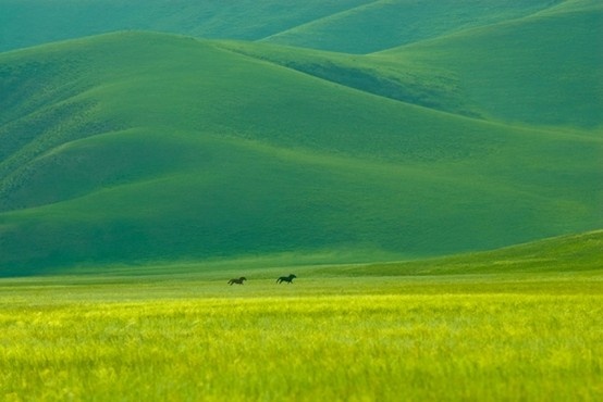فروش نایلون کشاورزی در جلگه
