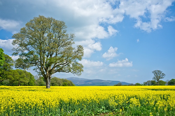 فروش نایلون کشاورزی در هشتبندی