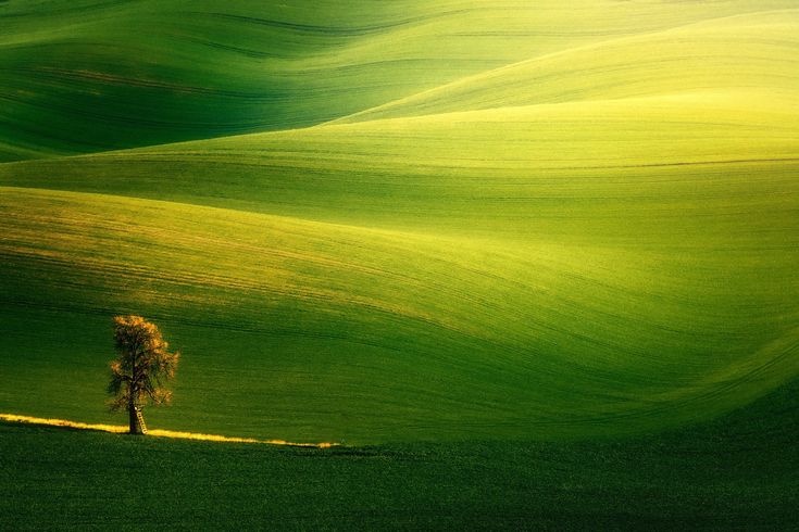 فروش نایلون کشاورزی در قیر و کارزین