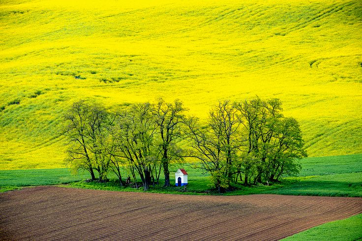 فروش نایلون کشاورزی در بهبهان