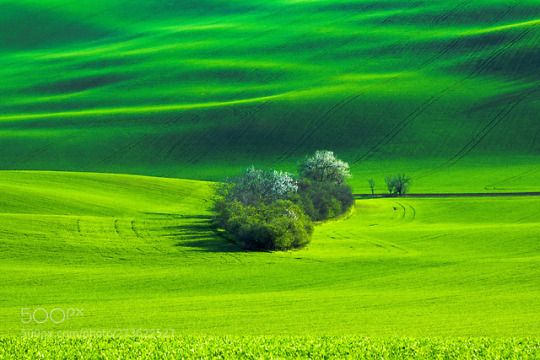 فروش دریپر آبیاری قطره ای در شیراز و فارس