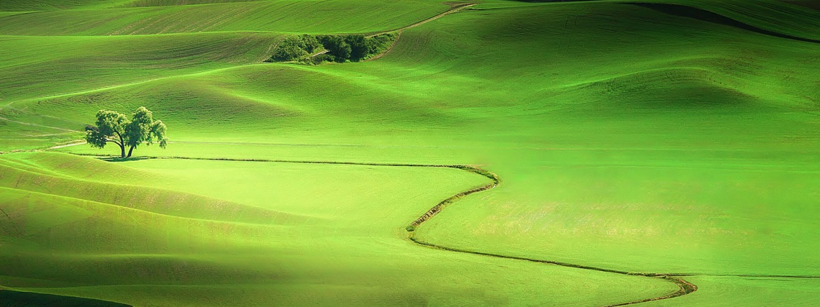 فروش دریپر آبیاری قطره ای در دهدشت