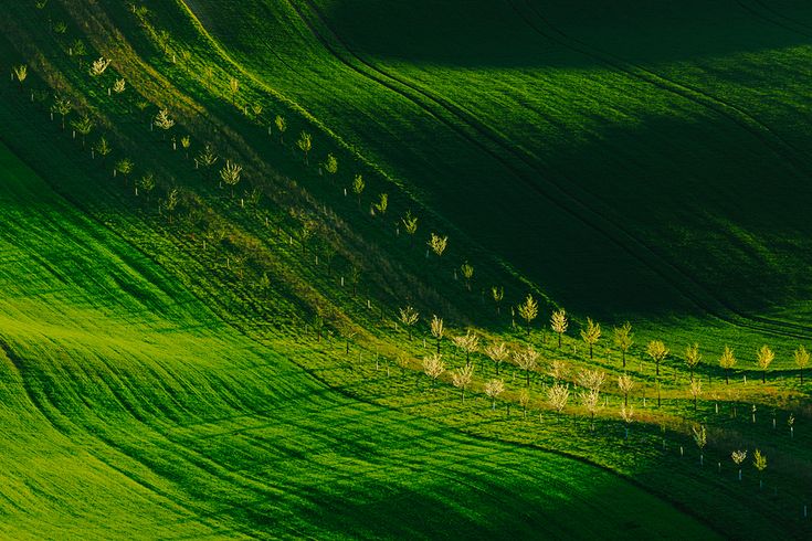 فروش دریپر آبیاری قطره ای در زاهدان و سیستان