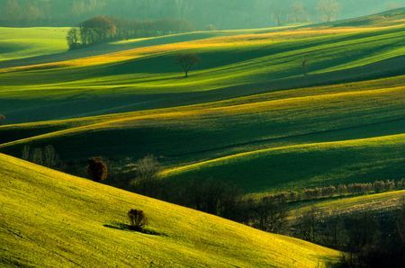 فروش دریپر آبیاری قطره ای در کازرون