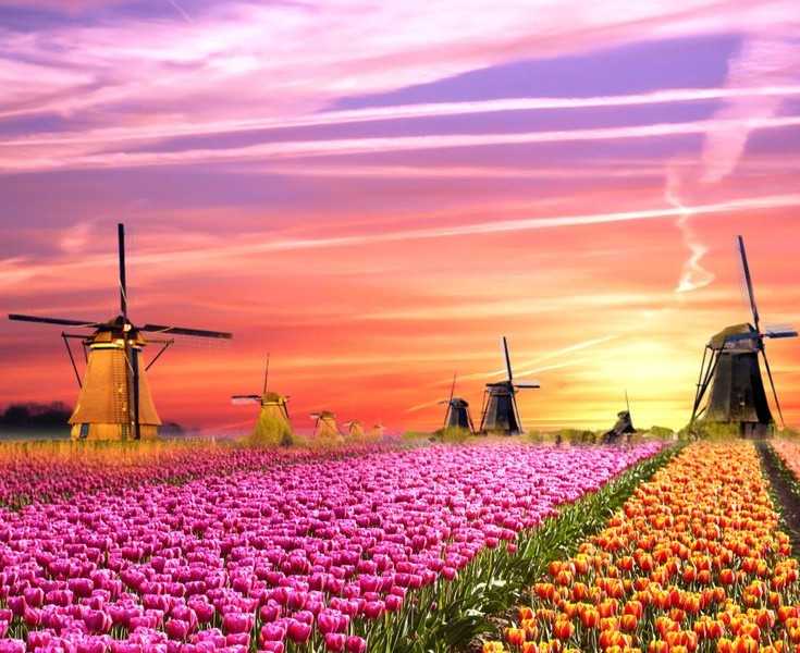 فروش قطره چکان آبیاری قطره ای در دهدشت