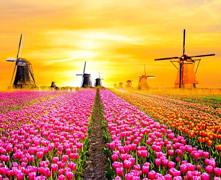 فروش قطره چکان آبیاری قطره ای در کهورستان