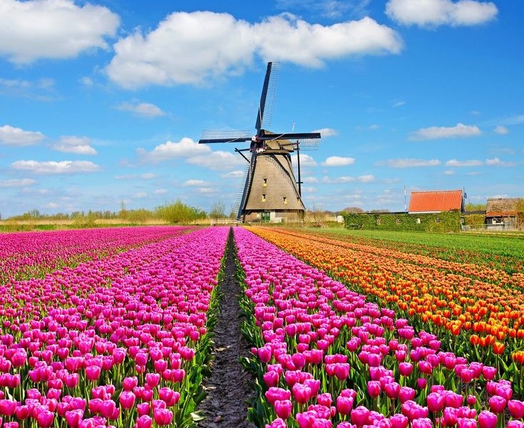 فروش قطره چکان آبیاری قطره ای در زاهدان و سیستان