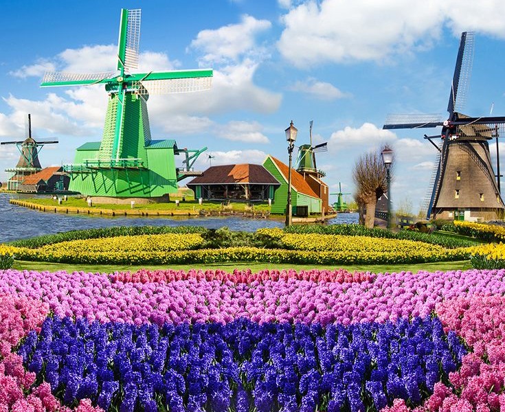 فروش قطره چکان آبیاری قطره ای در کازرون