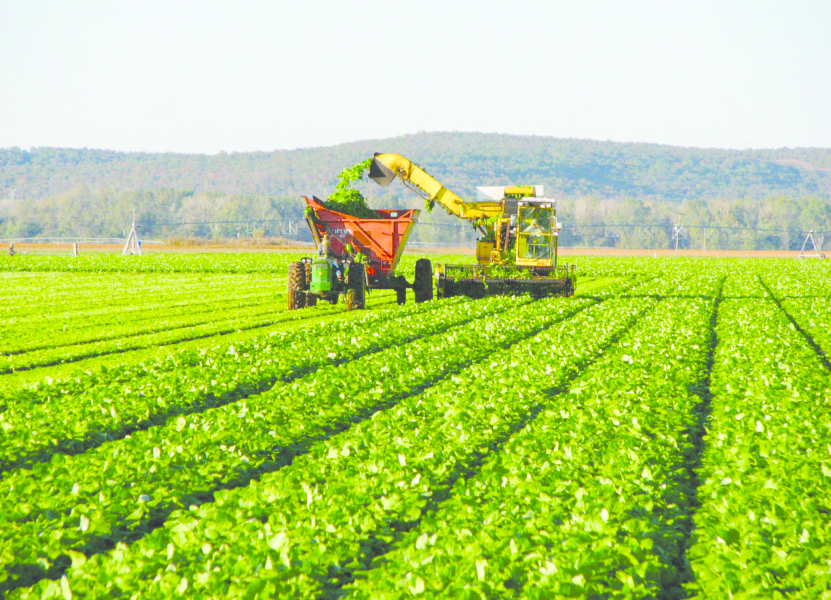 فروش لوله 16 دریپردار (قطره چکان دار) در اهواز و خوزستان