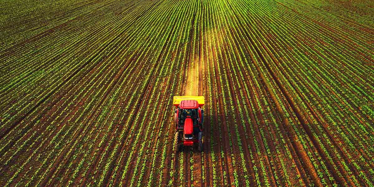 فروش لوله 16 دریپردار (قطره چکان دار) در جلگه