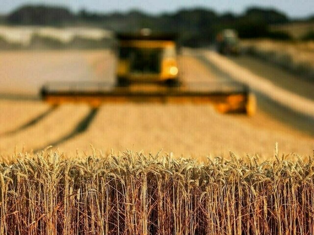 فروش لوله 16 دریپردار (قطره چکان دار) در زاهدان و سیستان