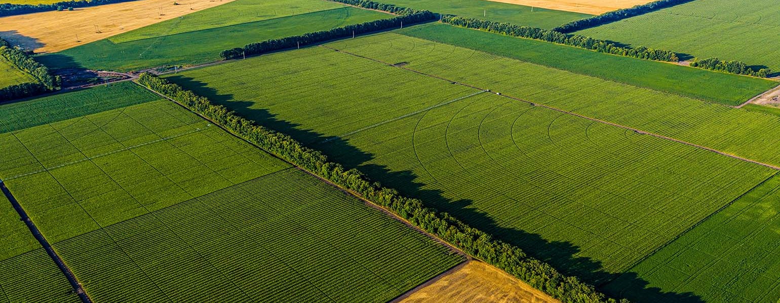 فروش قطره چکان کشاورزی