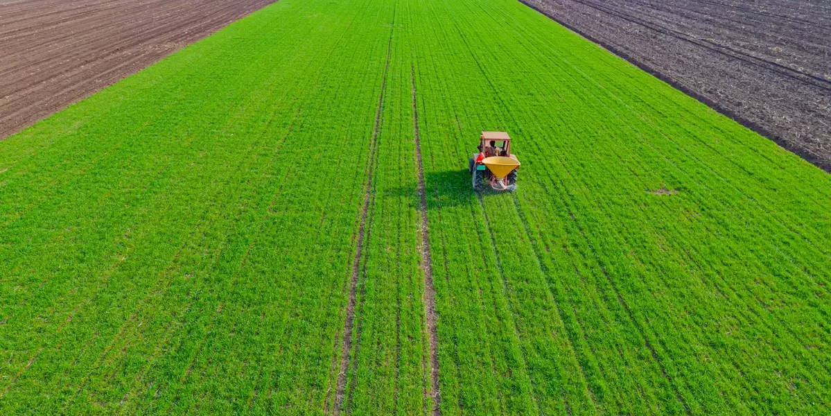 قطره چکان آبیاری قطره ای