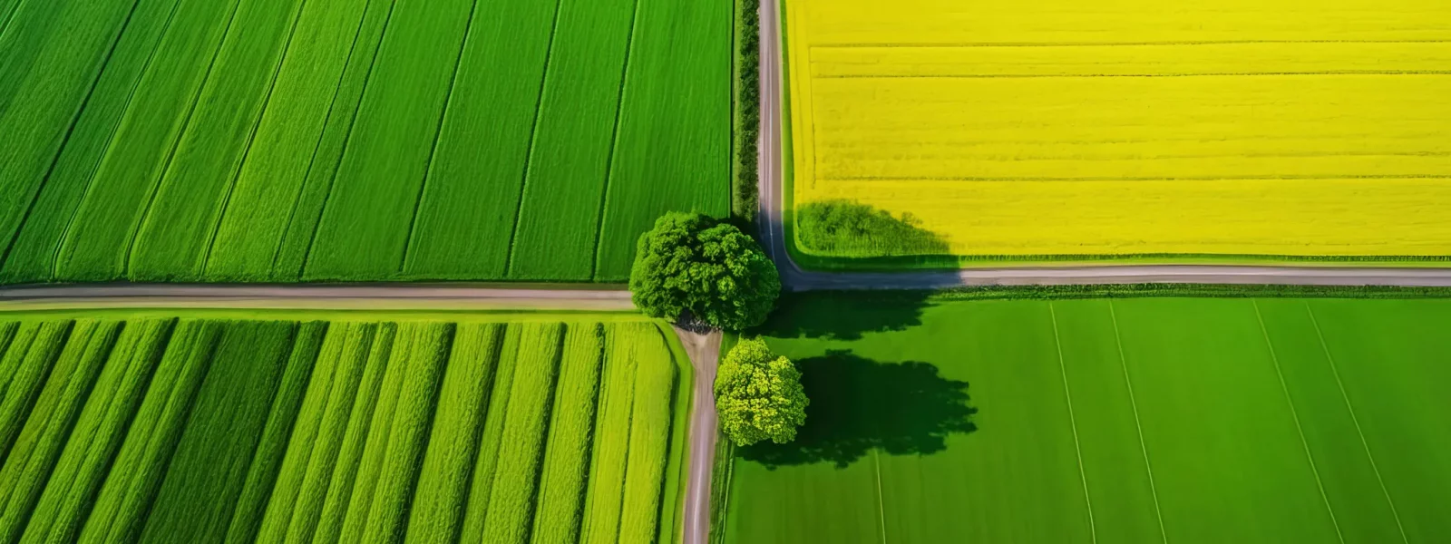 قیمت لوله آبیاری قطره ای