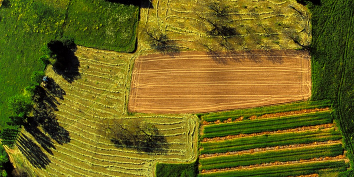 کارخانه تولید لوله آبیاری قطره ای