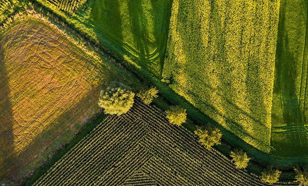 فروش لوله 16 دریپردار (قطره چکان دار)