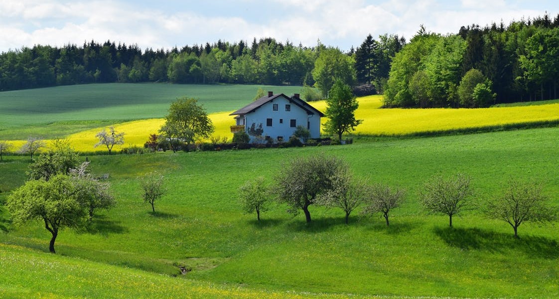 آبیاری قطره ای پیاز