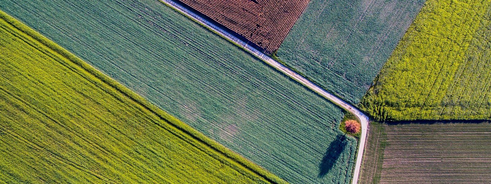 قیمت و خرید نایلون کشاورزی