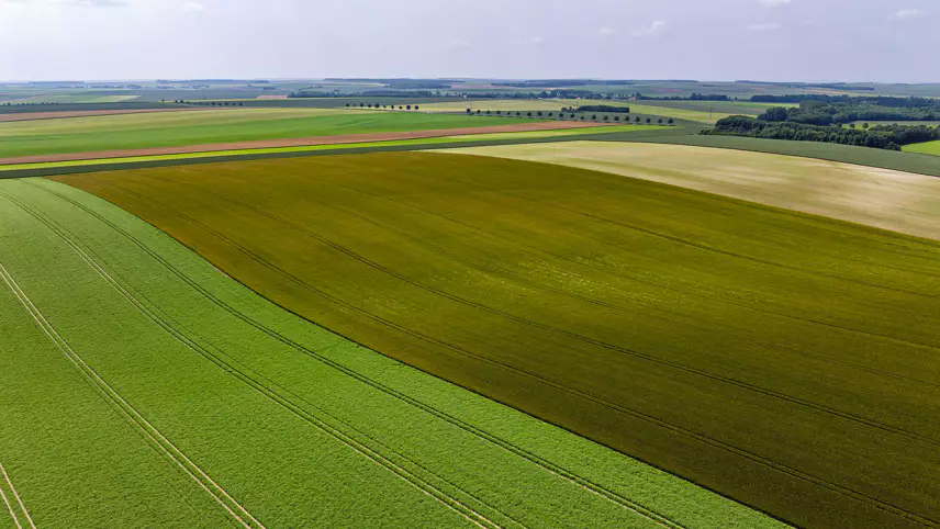 لوله و اتصالات و تجهیزات آبیاری قطره ای انگور