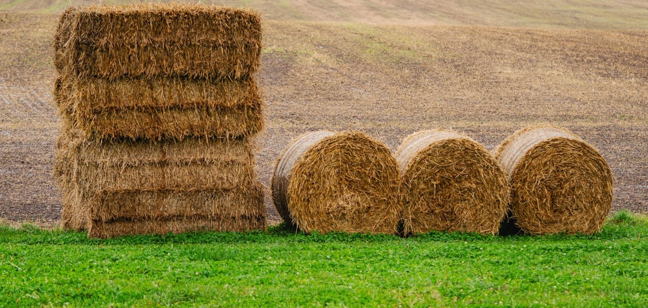 فروش وسایل و تجهیزات و لوازم آبیاری قطره ای در لار