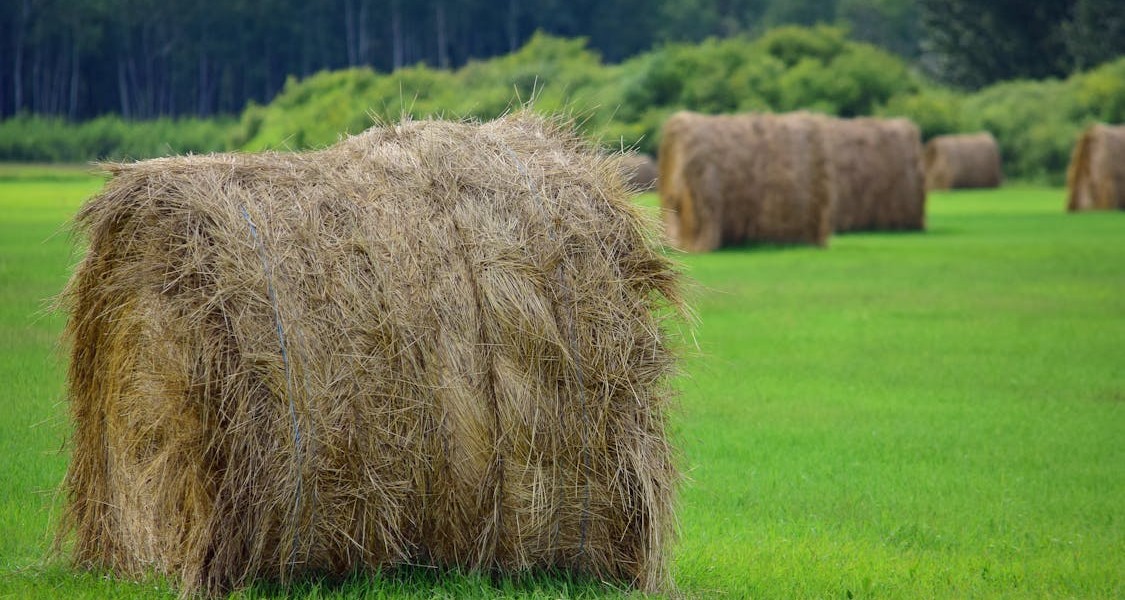 فروش وسایل و تجهیزات و لوازم آبیاری قطره ای در شاهرود