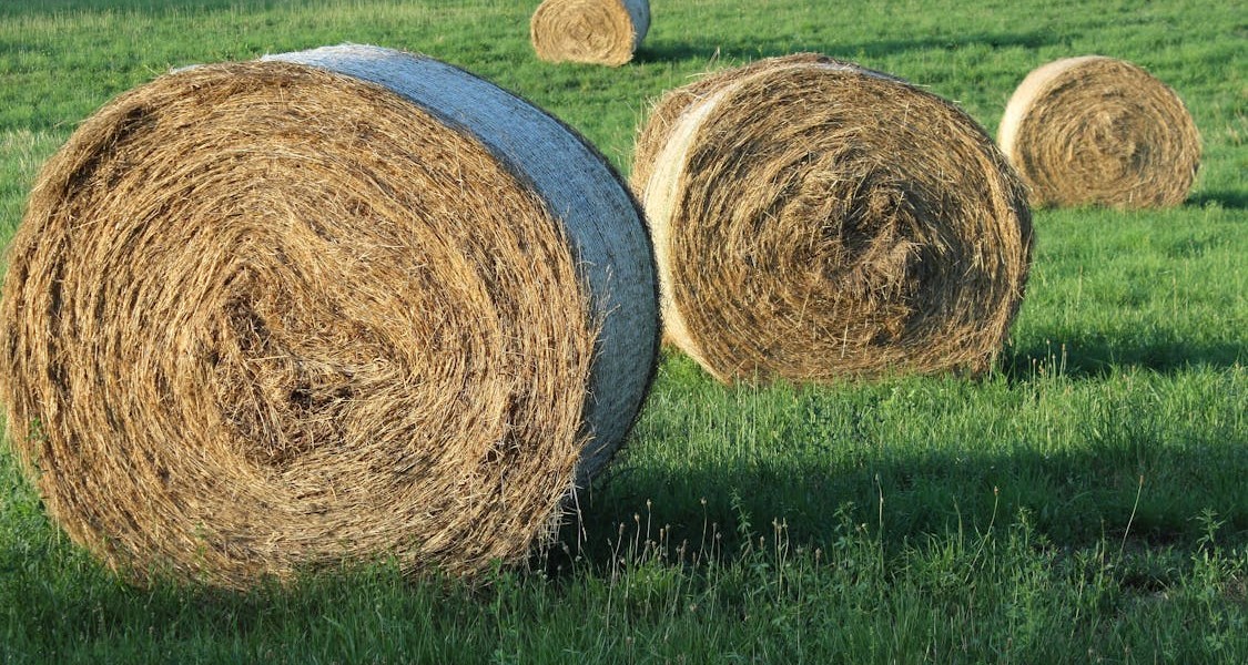 فروش وسایل و تجهیزات و لوازم آبیاری قطره ای در شهرکرد