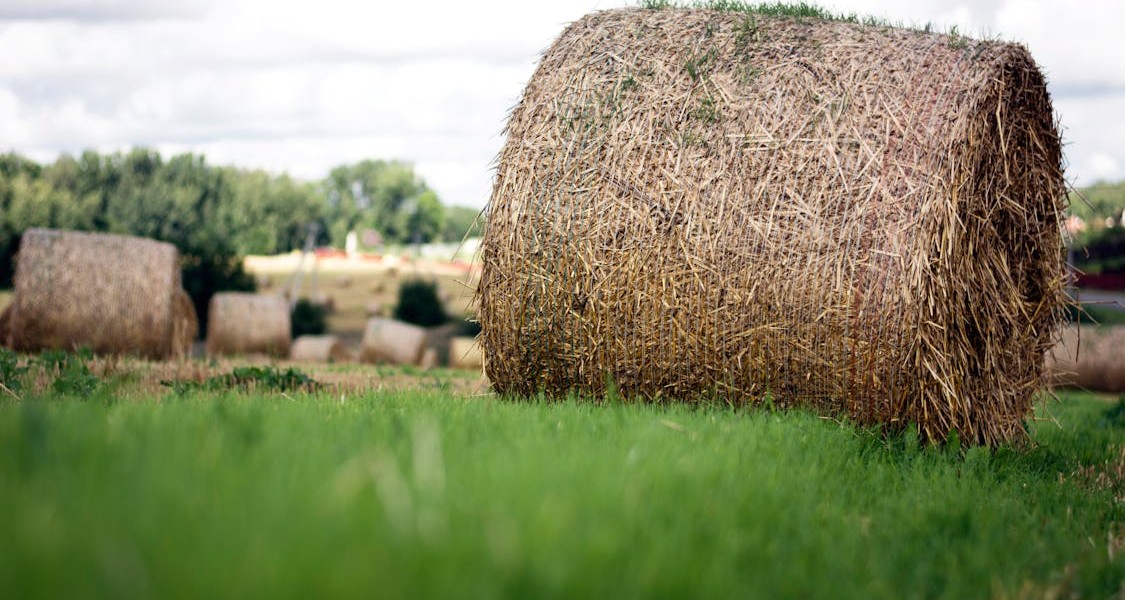 فروش وسایل و تجهیزات و لوازم آبیاری قطره ای در ساری و مازندران