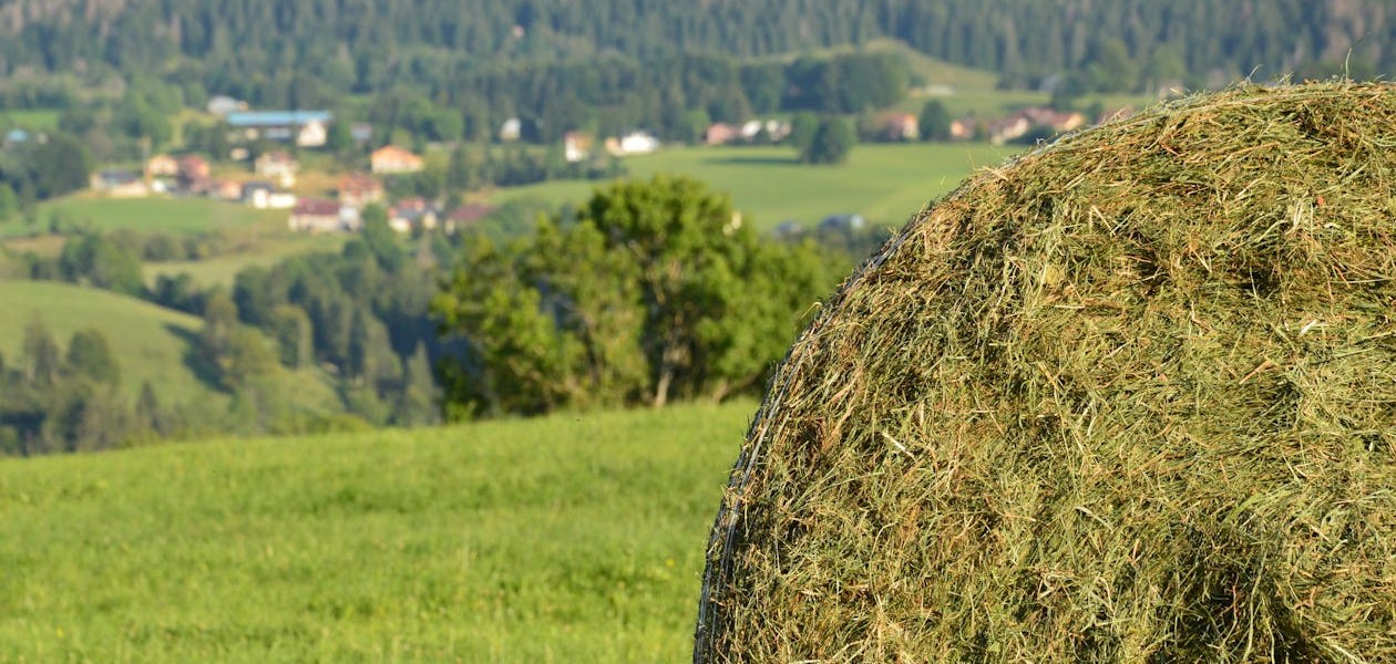 فروش وسایل و تجهیزات و لوازم آبیاری قطره ای در دماوند