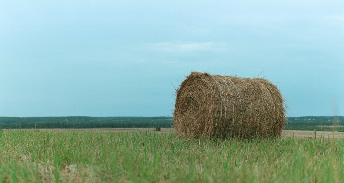 فروش وسایل و تجهیزات و لوازم آبیاری قطره ای در رشت و گیلان