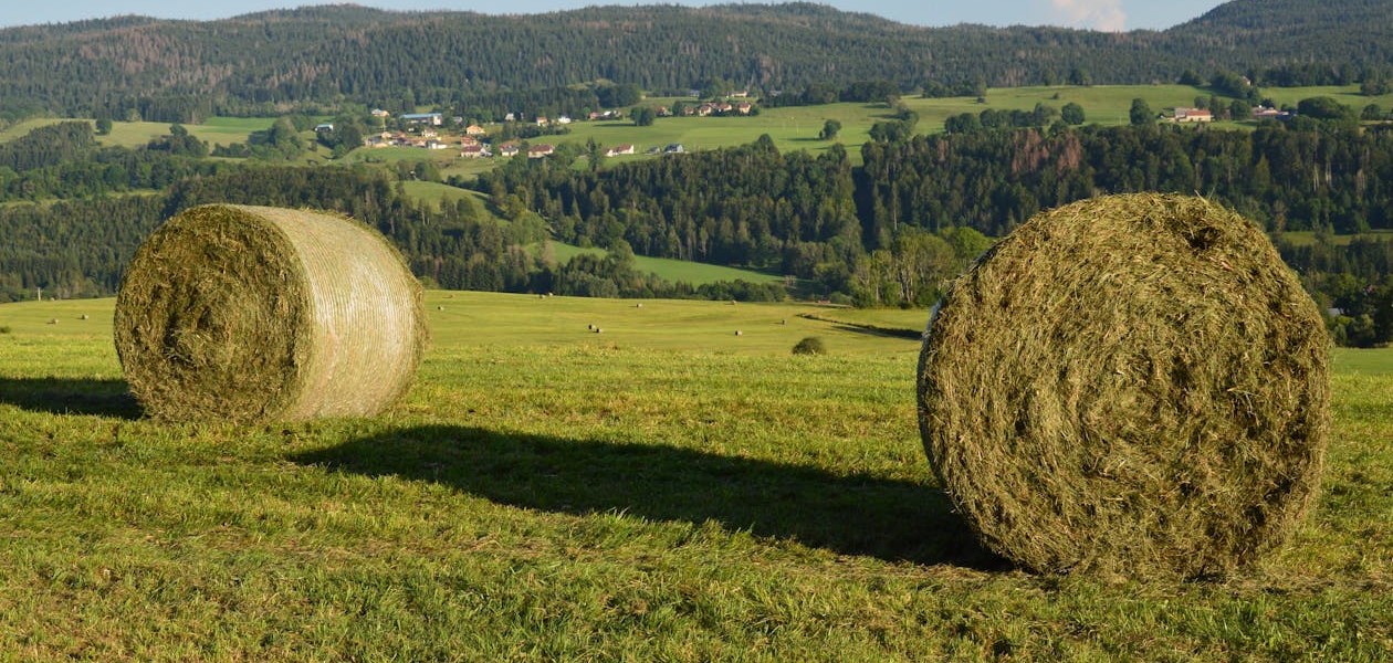 فروش وسایل و تجهیزات و لوازم آبیاری قطره ای در فیروزکوه