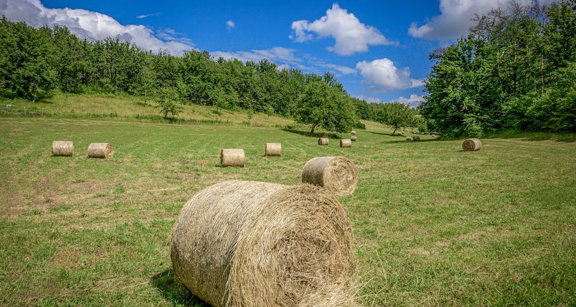 فروش وسایل و تجهیزات و لوازم آبیاری قطره ای در فریدن