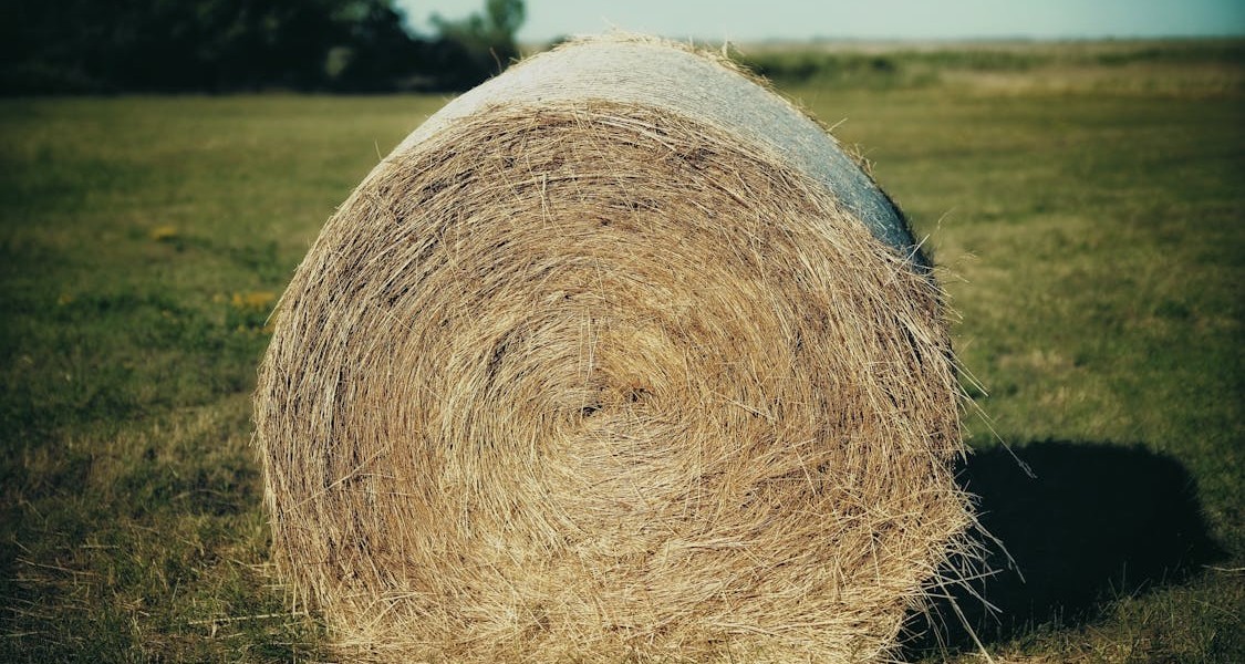 فروش وسایل و تجهیزات و لوازم آبیاری قطره ای در داراب