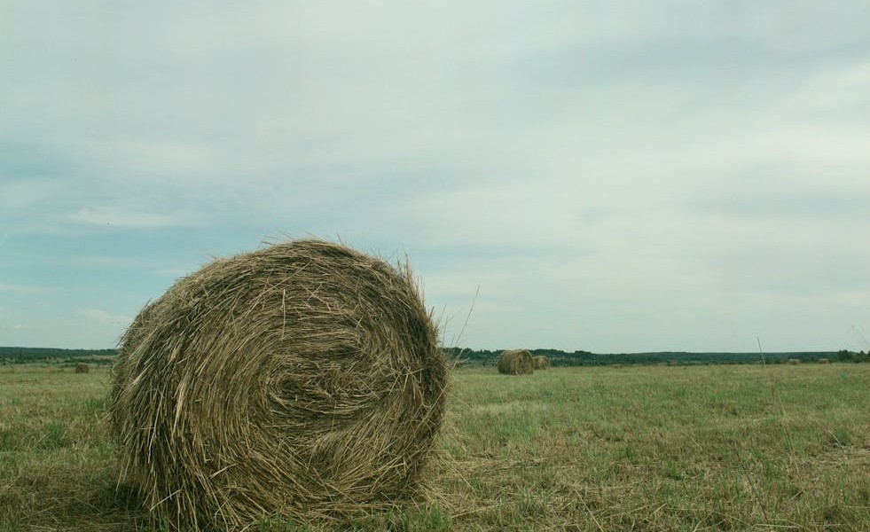 فروش وسایل و تجهیزات و لوازم آبیاری قطره ای در تاکستان