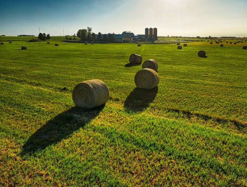 فروش وسایل و تجهیزات و لوازم آبیاری قطره ای در پارس آباد مغان