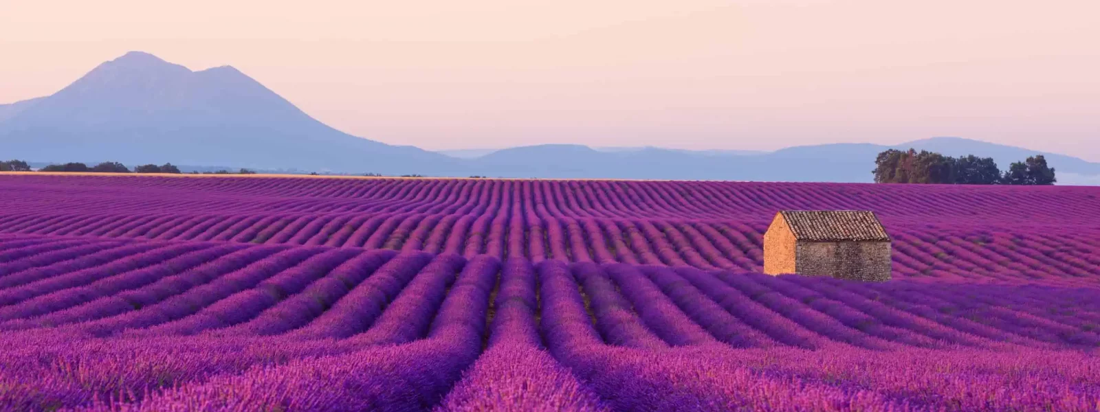 فروش نوار آبیاری در هشتگرد