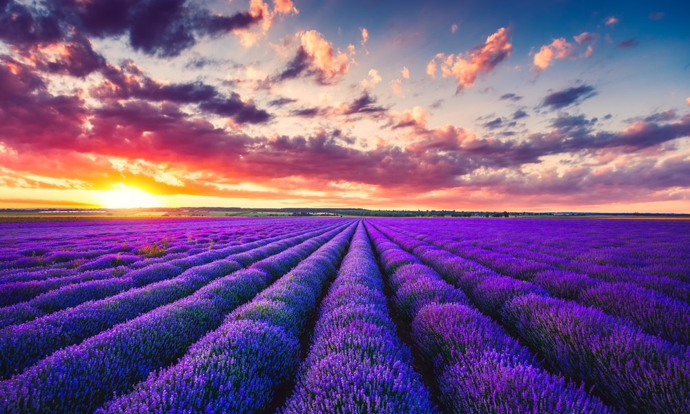 فروش نوار آبیاری در آبیک