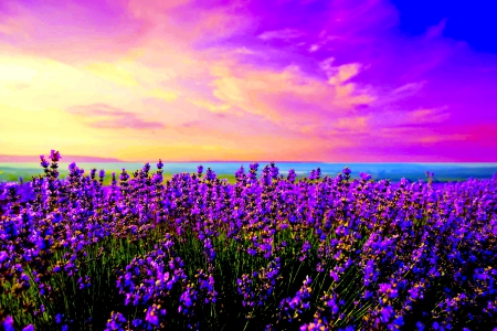 فروش نوار آبیاری در ساوه